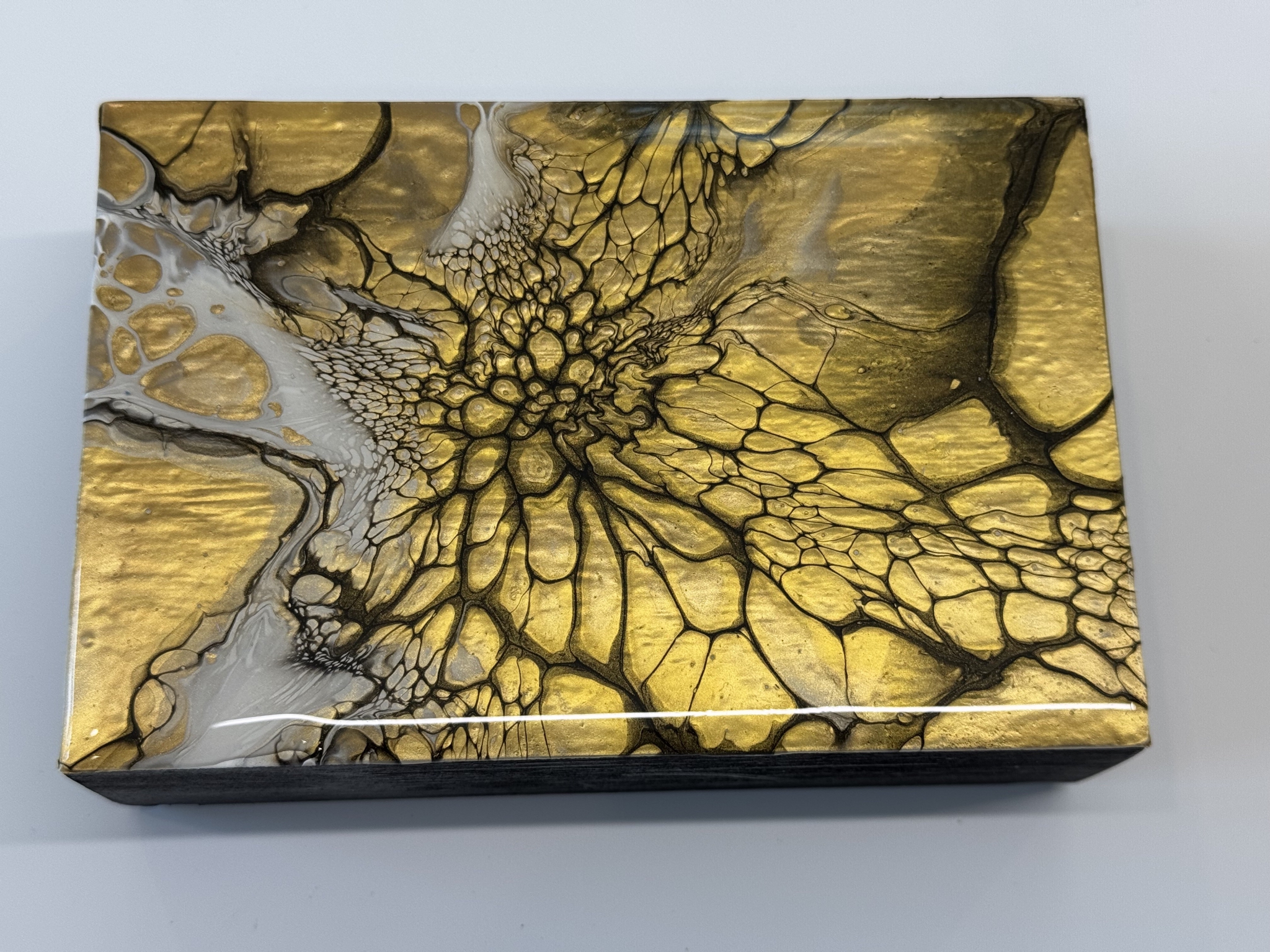 Click here to view New Work! artwork by Jean Macaluso