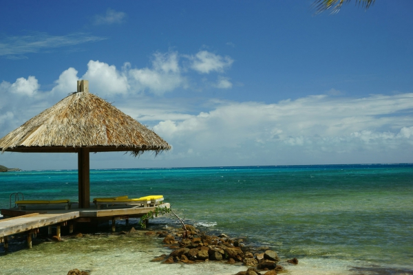 Click here to view Quiet Spot by Jean Macaluso