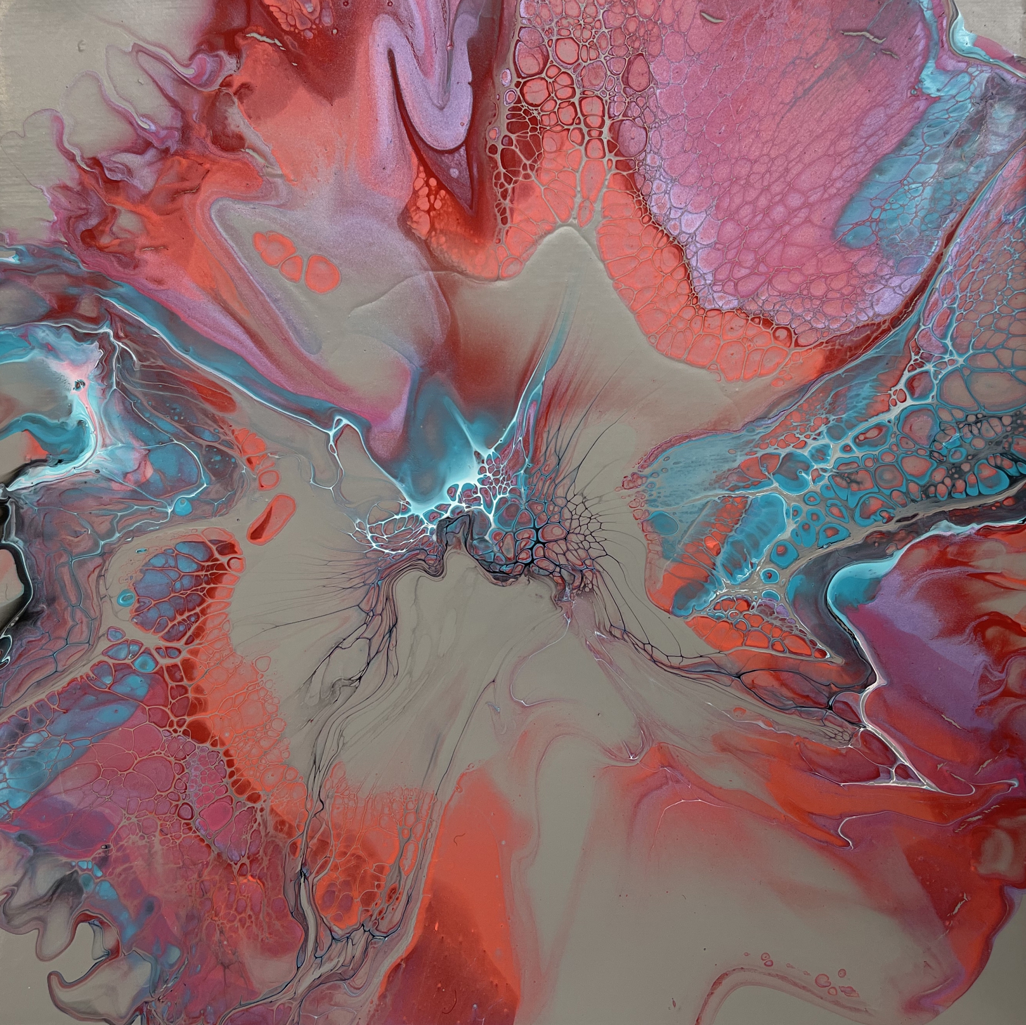 Click here to view Pink Fog by Jean Macaluso