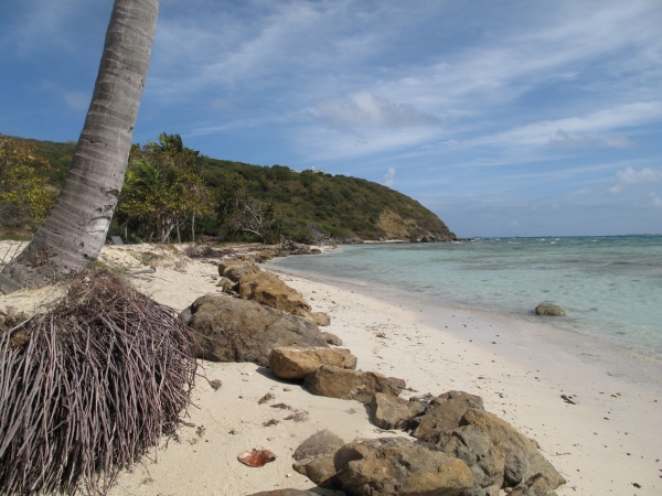 Click here to view Caribbean Euphoria by Jean Macaluso