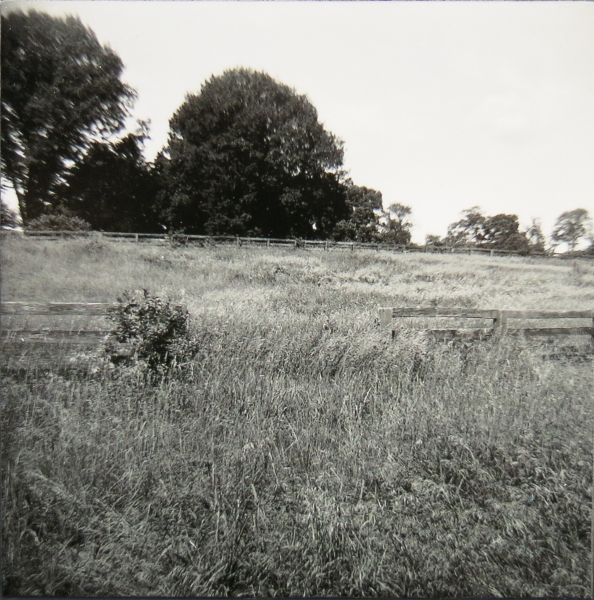 Click here to view Fields by Jean Macaluso