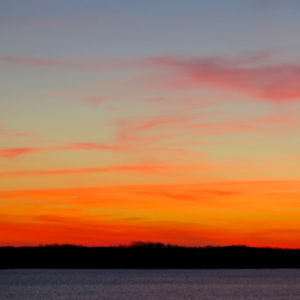 Click here to view Ruby Sky by Jean Macaluso