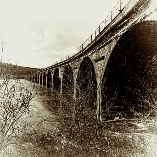 Click here to view Black & White Photography artwork by Jean Macaluso