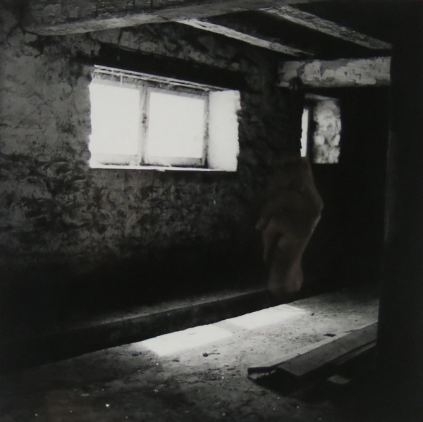 Click here to view Barn Light-Due East by Jean Macaluso