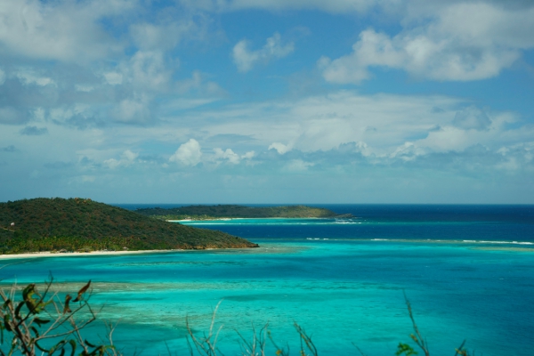 Click here to view Bitter End Blue by Jean Macaluso